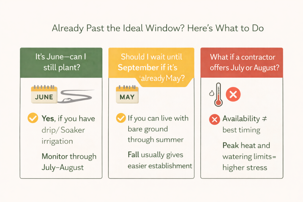 Decision checklist for planting xeriscape in Brighton when it’s June, May, or peak summer months.